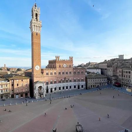 Il Campo 8: Piazza Del Campo *